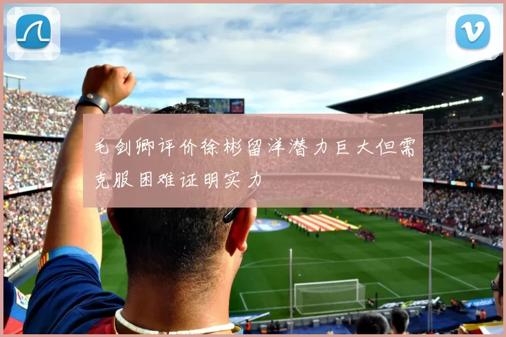 毛剑卿评价徐彬留洋潜力巨大但需克服困难证明实力